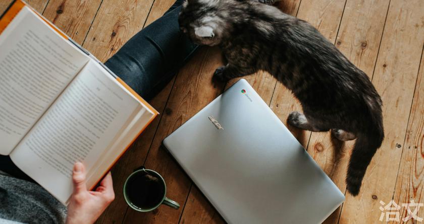 洽文降AIGC率,洽文查AIGC助手,洽文免费查AIGC